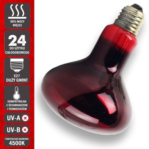 Komodo Infrared 50W - żarówka grzewcza podczerwona Komodo Infrared 50W - żarówka grzewcza podczerwona