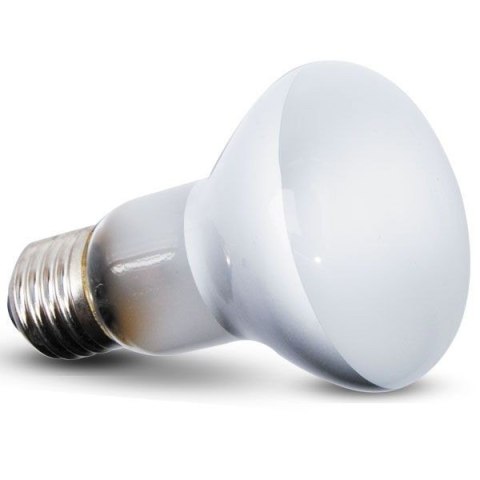 Repti-Zoo Beam Spot 60W Repti-Zoo Beam Spot 60W