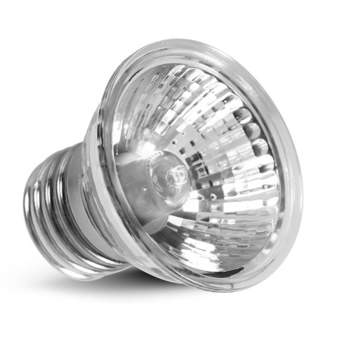 Repti-Zoo Mini Infrared lamp 25W - mini halogen podczerwony Repti-Zoo Mini Infrared lamp 25W - mini halogen podczerwony