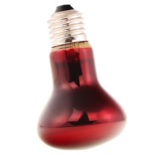 Super Reptile Red 100W podczerwona żarówka grzewcza