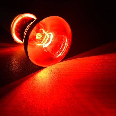Super Reptile Red 50W podczerwona żarówka grzewcza Super Reptile Red 50W podczerwona żarówka grzewcza