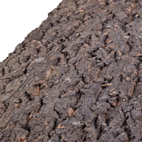 Repti-Zoo Big Tree Background - tło z kory do terrarium 30x30cm Repti-Zoo Big Tree Background - tło z kory do terrarium 30x30cm
