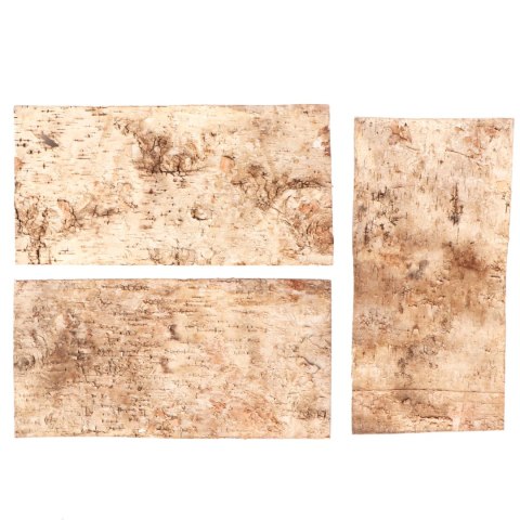 Terrario Birch Background - tło z kory 19,5 x 39cm Terrario Birch Background - tło z kory 19,5 x 39cm