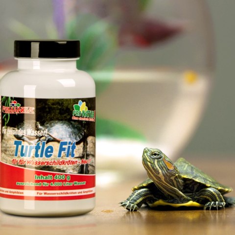 Femanga Turtle Fit - preparat na niedobory witamin i minerałów 400g Femanga Turtle Fit - preparat na niedobory witamin i minerałów 400g