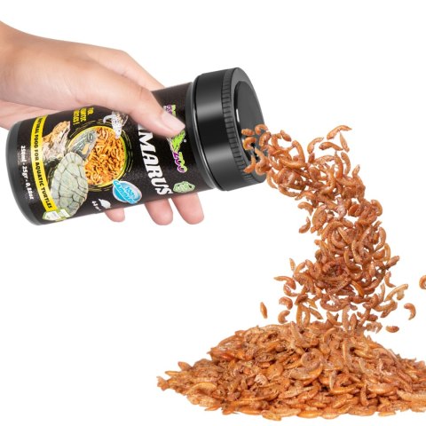 Repti-Zoo Gammarus 250ml - kiełż zdrojowy Repti-Zoo Gammarus 250ml - kiełż zdrojowy