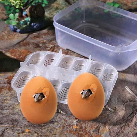Terrario EggIncubator - inkubator na 12 jaj
