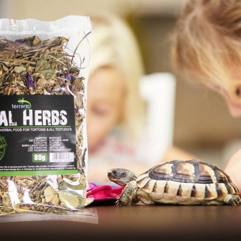 Terrario Vital Herbs 80g - zioła dla żółwi Terrario Vital Herbs 80g - zioła dla żółwi