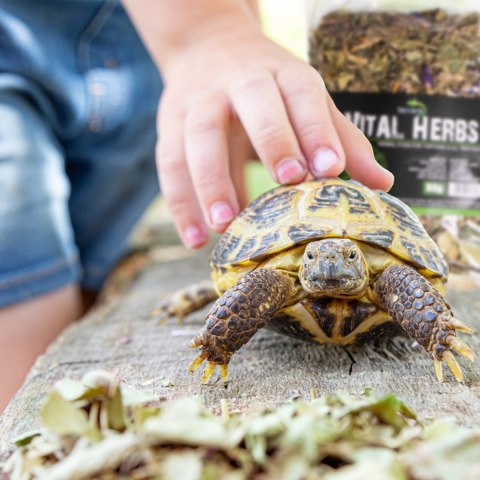 Terrario Vital Herbs 80g - zioła dla żółwi Terrario Vital Herbs 80g - zioła dla żółwi
