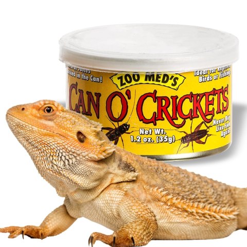 Zoomed Can O' Crickets Medium - pokarm w puszcze świerszcze średnie Zoomed Can O' Crickets Medium - pokarm w puszcze świerszcze średnie