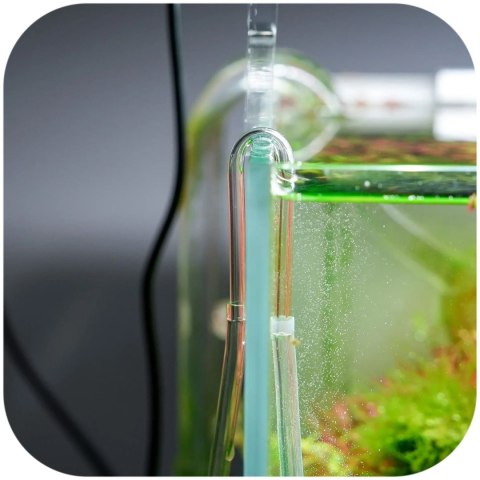 Chihiros U Clip L - kolanko na wężyk 6mm CO2 i napowietrzacza Chihiros U Clip L - kolanko na wężyk 6mm CO2 i napowietrzacza
