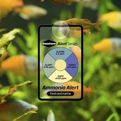 Seachem Ammonia Alert (stały test NH3) Seachem Ammonia Alert (stały test NH3)