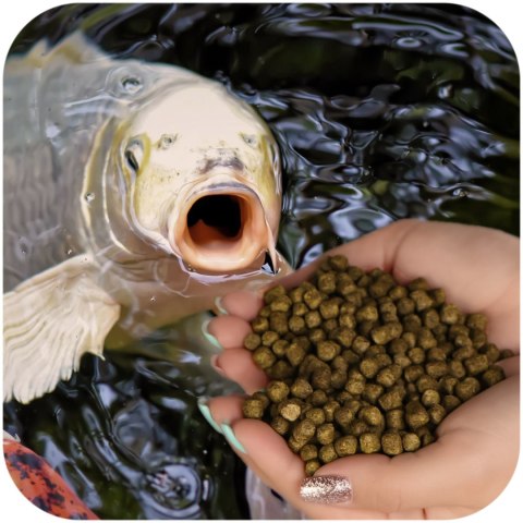 Glopex Premium Algen Feed - pokarm i witaminy dla ryb z spiruliną Glopex Premium Algen Feed - pokarm i witaminy dla ryb z spiruliną