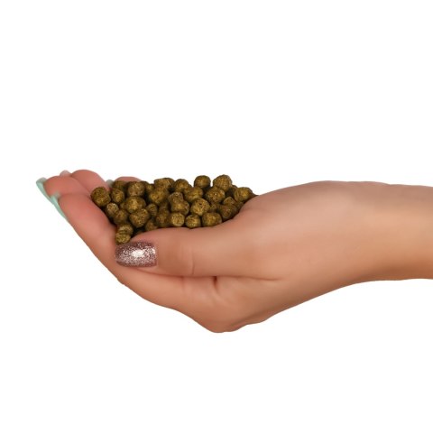 Glopex Premium Algen Feed - pokarm i witaminy dla ryb z spiruliną Glopex Premium Algen Feed - pokarm i witaminy dla ryb z spiruliną