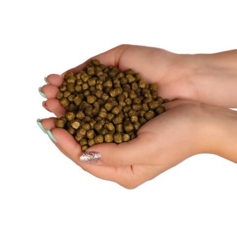 Glopex Premium Algen Feed - pokarm i witaminy dla ryb z spiruliną Glopex Premium Algen Feed - pokarm i witaminy dla ryb z spiruliną