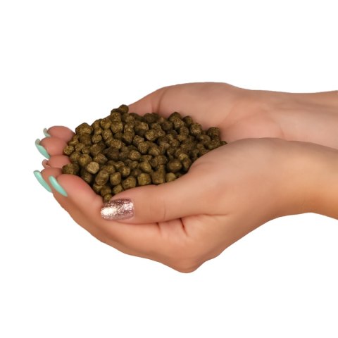 Glopex Premium Algen Feed - pokarm i witaminy dla ryb z spiruliną Glopex Premium Algen Feed - pokarm i witaminy dla ryb z spiruliną