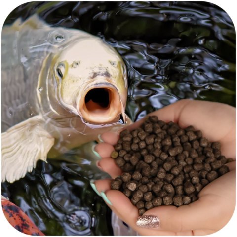 Glopex Premium Red Feed - pokarm i witaminy dla ryb Glopex Premium Red Feed - pokarm i witaminy dla ryb