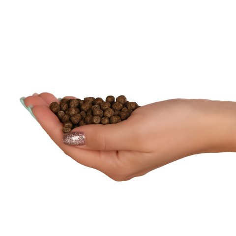 Glopex Premium Red Feed - pokarm i witaminy dla ryb Glopex Premium Red Feed - pokarm i witaminy dla ryb