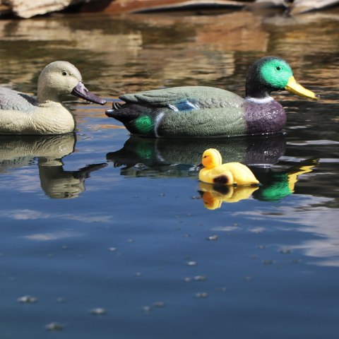 Oase Pond Figures Duck Drake - pływająca ozdoba Oase Pond Figures Duck Drake - pływająca ozdoba