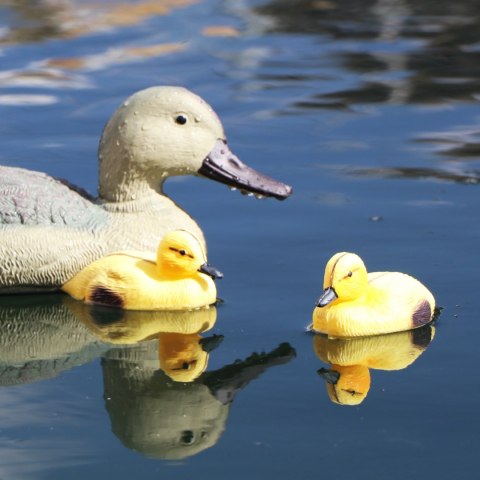 Oase Pond Figures Duck Female - pływająca ozdoba Oase Pond Figures Duck Female - pływająca ozdoba