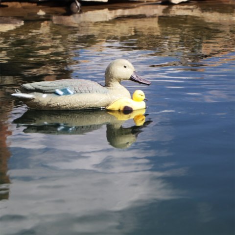 Oase Pond Figures Duck Female - pływająca ozdoba Oase Pond Figures Duck Female - pływająca ozdoba