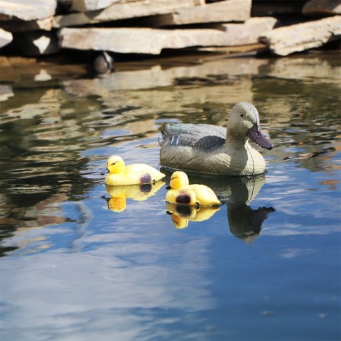 Oase Pond Figures Duck Female - pływająca ozdoba Oase Pond Figures Duck Female - pływająca ozdoba