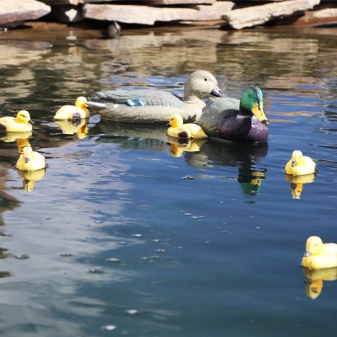 Oase Pond Figures Duck - pływająca ozdoba Oase Pond Figures Duck - pływająca ozdoba