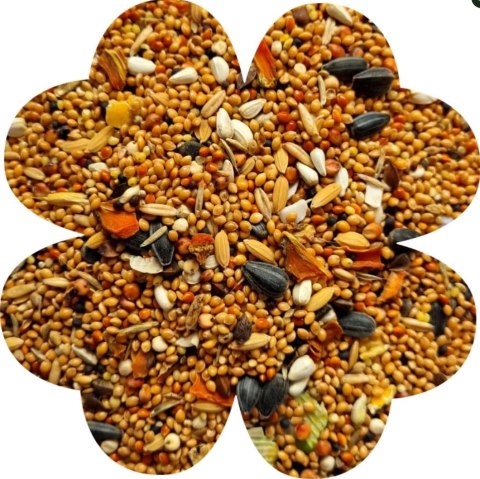 Alegia Enjoy pokarm dla nimfy 900g Alegia Enjoy pokarm dla nimfy 900g