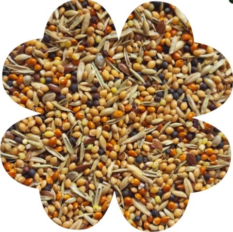 Alegia Enjoy pokarm dla zeberek i papużek egzotycznych 450g Alegia Enjoy pokarm dla zeberek i papużek egzotycznych 450g
