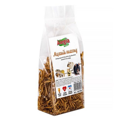 Alegia - larwy mącznika 60g Alegia - larwy mącznika 60g