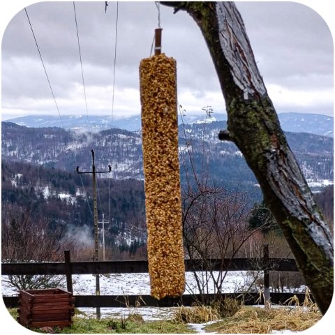 Gami Kolba XXL z robakami 400g - pokarm dla ptaków dzikich Gami Kolba XXL z robakami 400g - pokarm dla ptaków dzikich