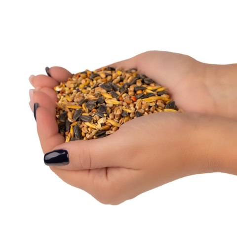 Gami Pokarm dla ptaków zimujących 0.5kg Gami Pokarm dla ptaków zimujących 0.5kg