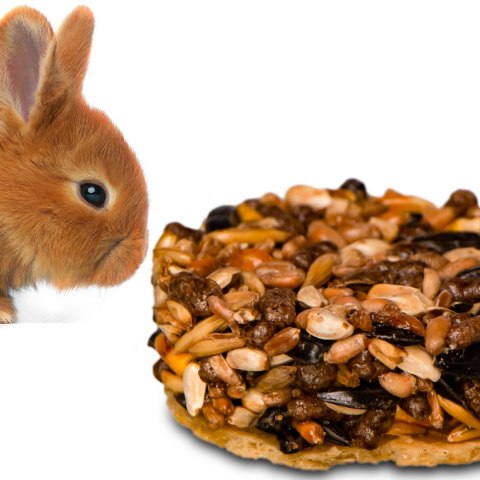 Gami Smakoszka czekoladowa - przysmak dla gryzoni 1 szt. Gami Smakoszka czekoladowa - przysmak dla gryzoni 1 szt.