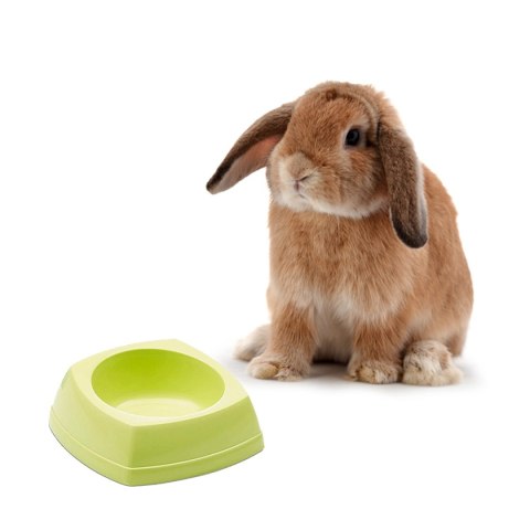Savic Rodent Bowl - miska dla gryzonia 12x12x4,5cm Savic Rodent Bowl - miska dla gryzonia 12x12x4,5cm