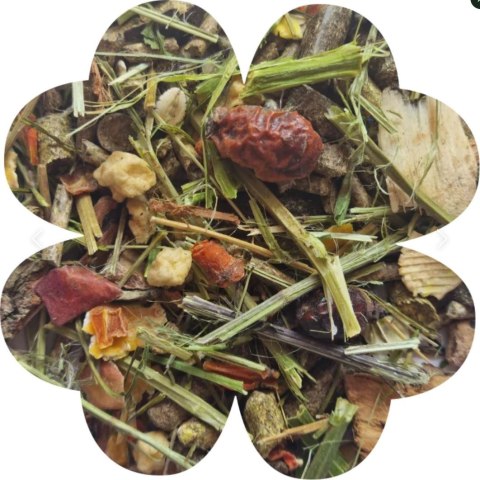 Alegia Enjoy pokarm dla szynszyla 800g Alegia Enjoy pokarm dla szynszyla 800g