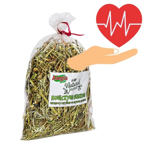 Alegia - koniczyna suszona 100g Alegia - koniczyna suszona 100g
