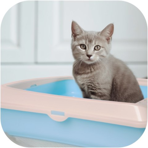 Furrever Friends Purrfect Box Blue with Scoop - duża kuweta z łopatką Furrever Friends Purrfect Box Blue with Scoop - duża kuweta z łopatką