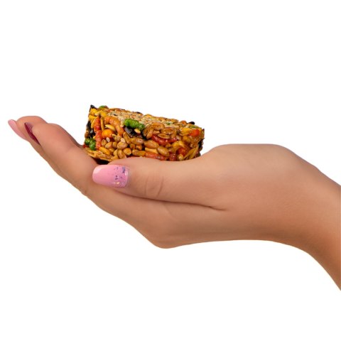 Gami Smakoszka sezamowa - przysmak dla gryzoni BOX Gami Smakoszka sezamowa - przysmak dla gryzoni BOX