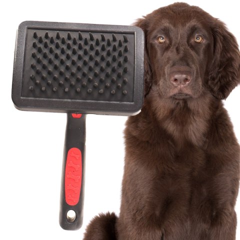 Lupipets Soft Brush L - miękka szczotka dla psów i kotów Lupipets Soft Brush L - miękka szczotka dla psów i kotów