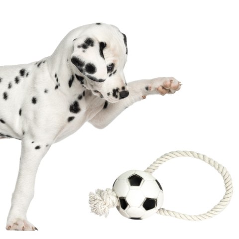 Pet Nova zabawka gumowa - piłka futbolowa na sznurku 26cm Pet Nova zabawka gumowa - piłka futbolowa na sznurku 26cm