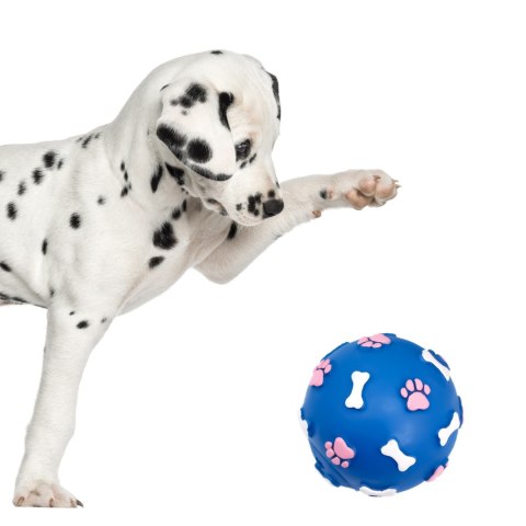 Pet Nova zabawka gumowa - piłka ze wzorem łapek i kości niebieska 9cm Pet Nova zabawka gumowa - piłka ze wzorem łapek i kości niebieska 9cm