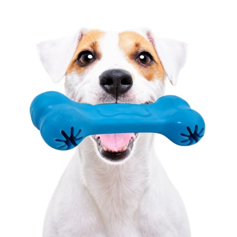 Pet Nova zabawka - kość na przysmaki z aromatem wołowiny niebieska 11cm Pet Nova zabawka - kość na przysmaki z aromatem wołowiny niebieska 11cm