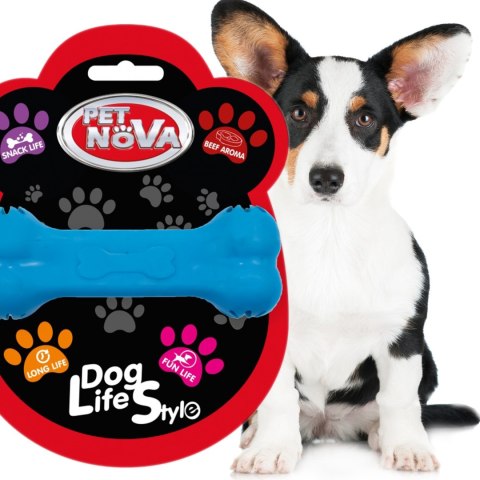 Pet Nova zabawka - kość na przysmaki z aromatem wołowiny niebieska 11cm Pet Nova zabawka - kość na przysmaki z aromatem wołowiny niebieska 11cm