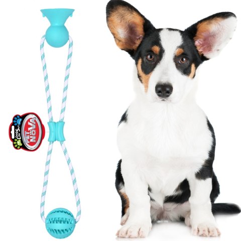 Pet Nova zabawka - piłka dental z przyssawką miętowa 7cm Pet Nova zabawka - piłka dental z przyssawką miętowa 7cm