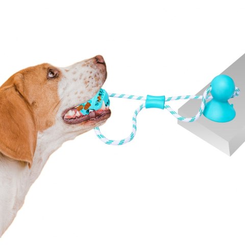 Pet Nova zabawka - piłka dental z przyssawką miętowa 7cm Pet Nova zabawka - piłka dental z przyssawką miętowa 7cm