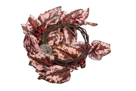 Repti-Zoo roślina wisząca 190cm - Begonia Repti-Zoo roślina wisząca 190cm - Begonia