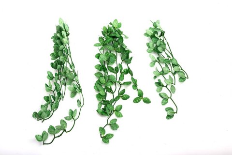 Repti-Zoo roślina wisząca 40cm - Fitonia Repti-Zoo roślina wisząca 40cm - Fitonia