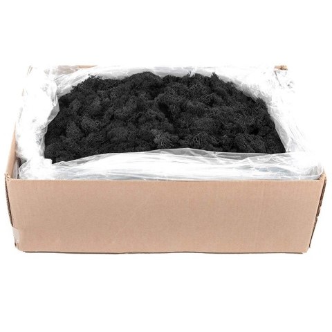 Secret Live Moss Black - Mech Żywy porcja 5g Secret Live Moss Black - Mech Żywy porcja 5g