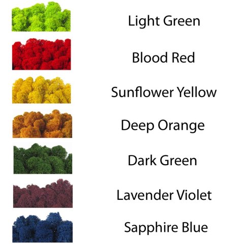 Secret Live Moss Sunflower Yellow - Mech Żywy porcja 5g Secret Live Moss Sunflower Yellow - Mech Żywy porcja 5g