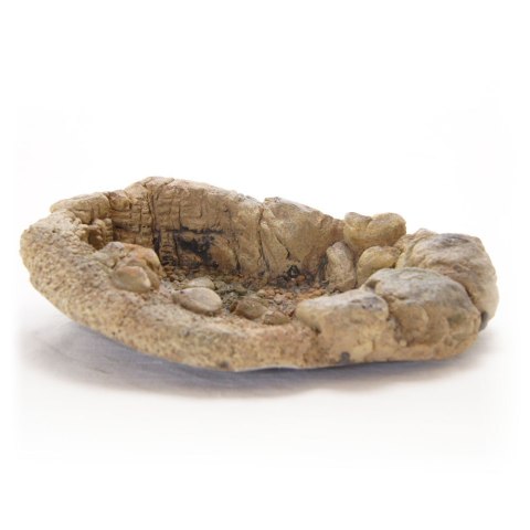 Terrario TerraPond M - miska / oczko wodne 23x18x6cm Terrario TerraPond M - miska / oczko wodne 23x18x6cm