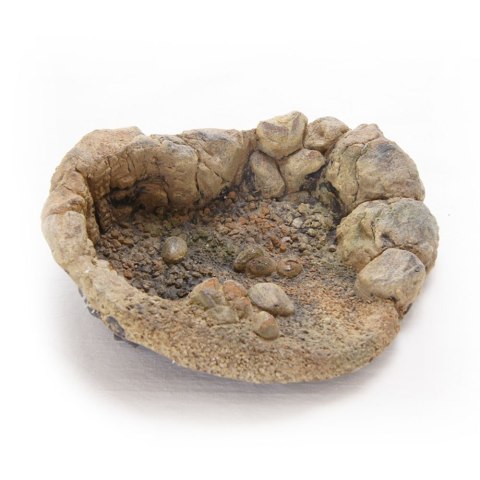 Terrario TerraPond M - miska / oczko wodne 23x18x6cm Terrario TerraPond M - miska / oczko wodne 23x18x6cm